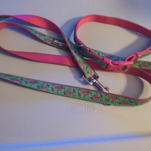 Blueberry pet flamingo leash and medium collar